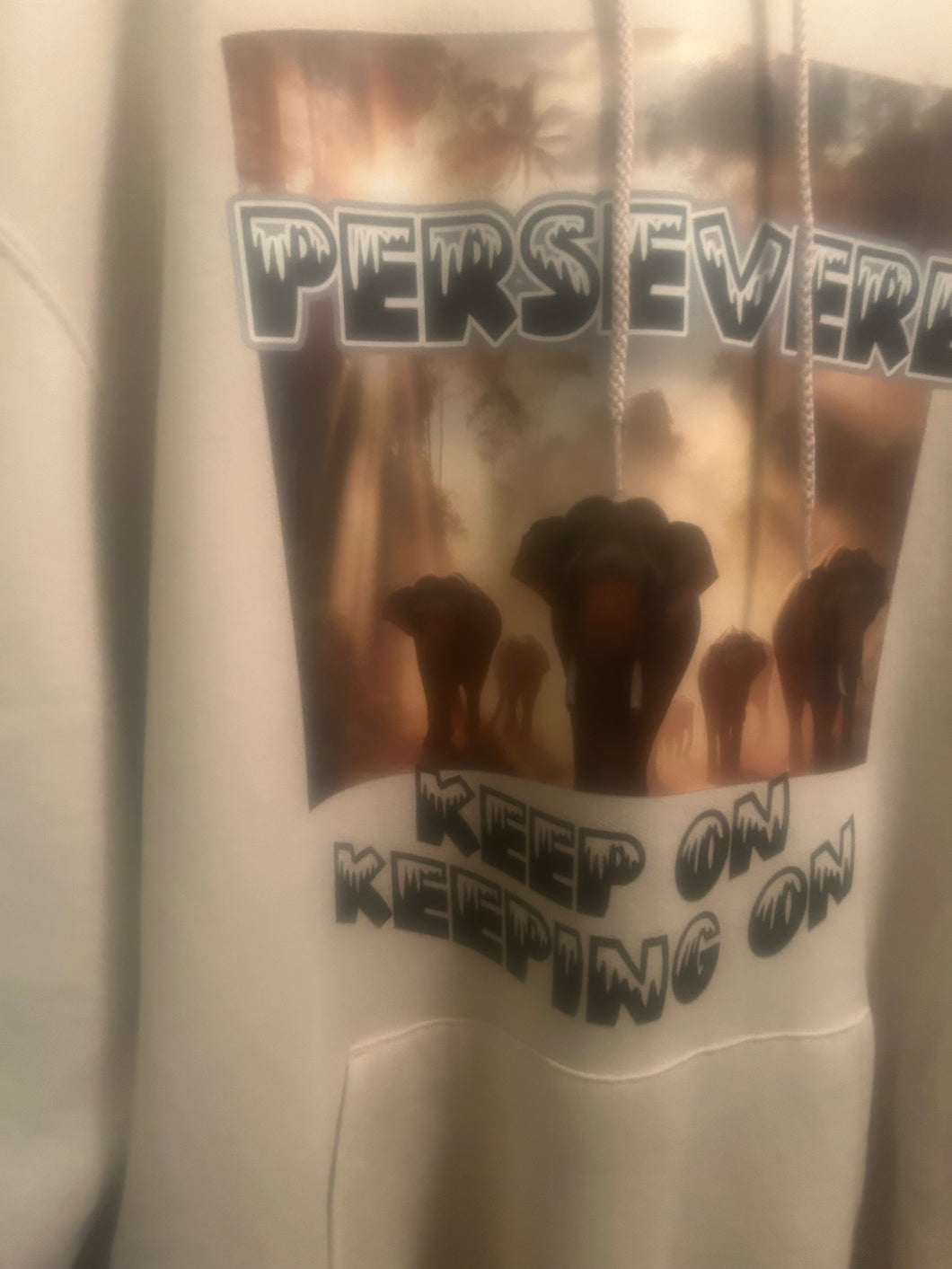 Graphic Design Hoodie-Persevere